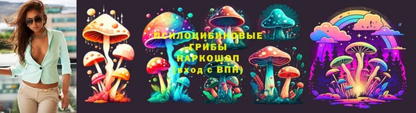 шишки Елабуга