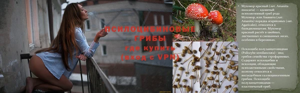 спиды Заволжск