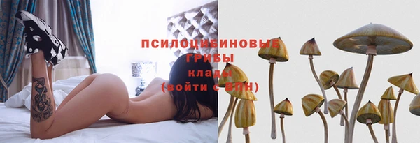 МДМА Елизово