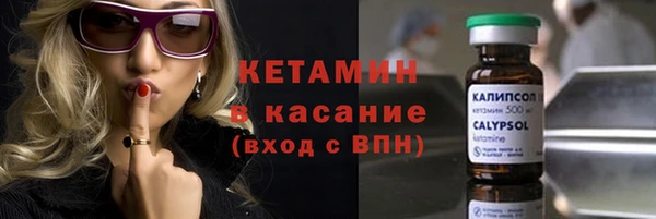 спиды Ельня