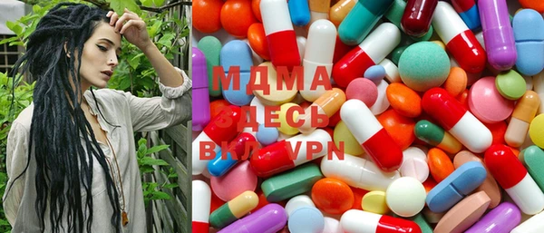 спиды Ельня