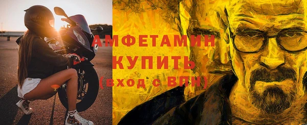 спиды Ельня