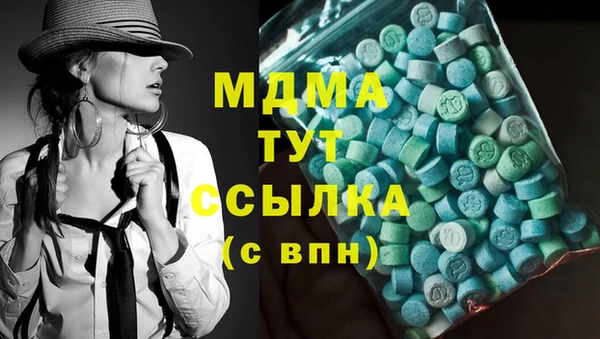 спиды Ельня