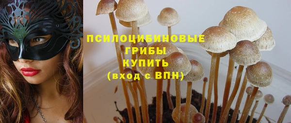 МДМА Елизово