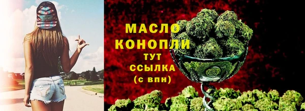 спиды Ельня