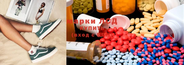 спиды Ельня
