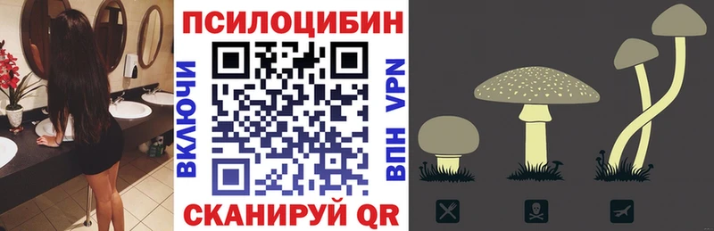 Псилоцибиновые грибы мицелий  цена   Заозёрный 